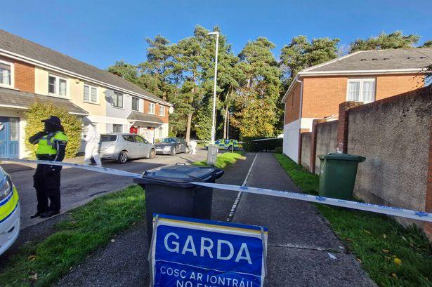 Man held over fatal Tyrrelstown stabbing