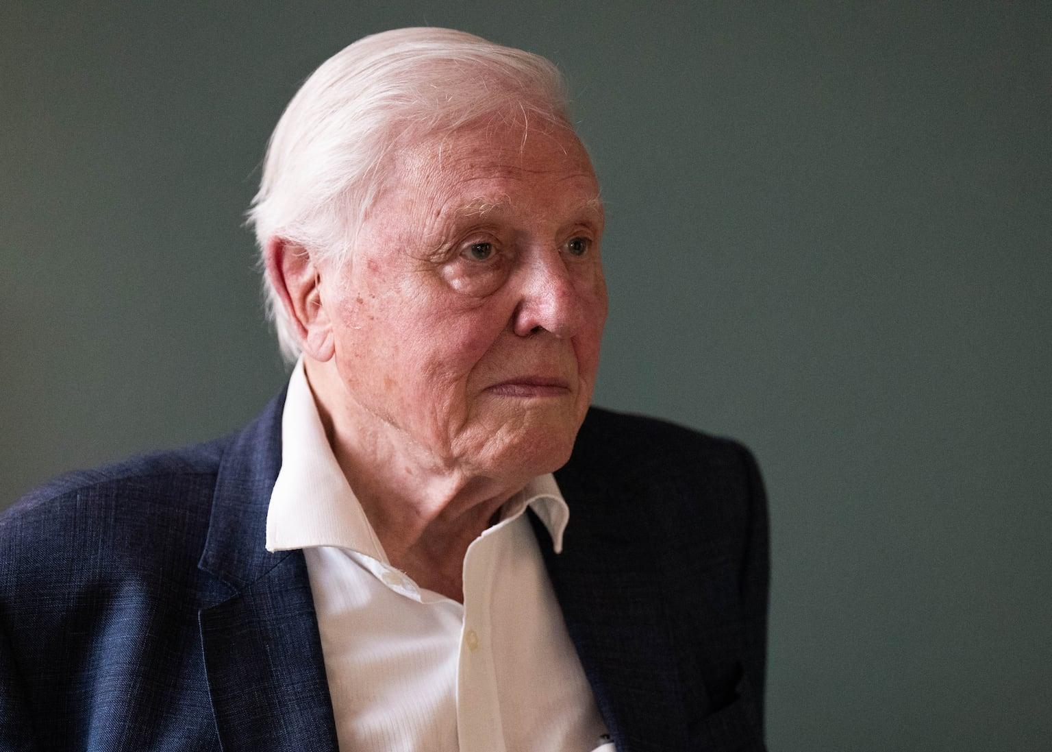 BBC unveils Attenborough-narrated wildlife series Kingdom