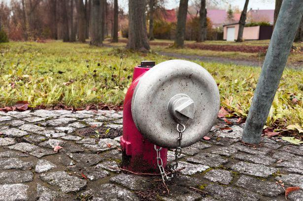 Man killed by airborne hydrant in California accident