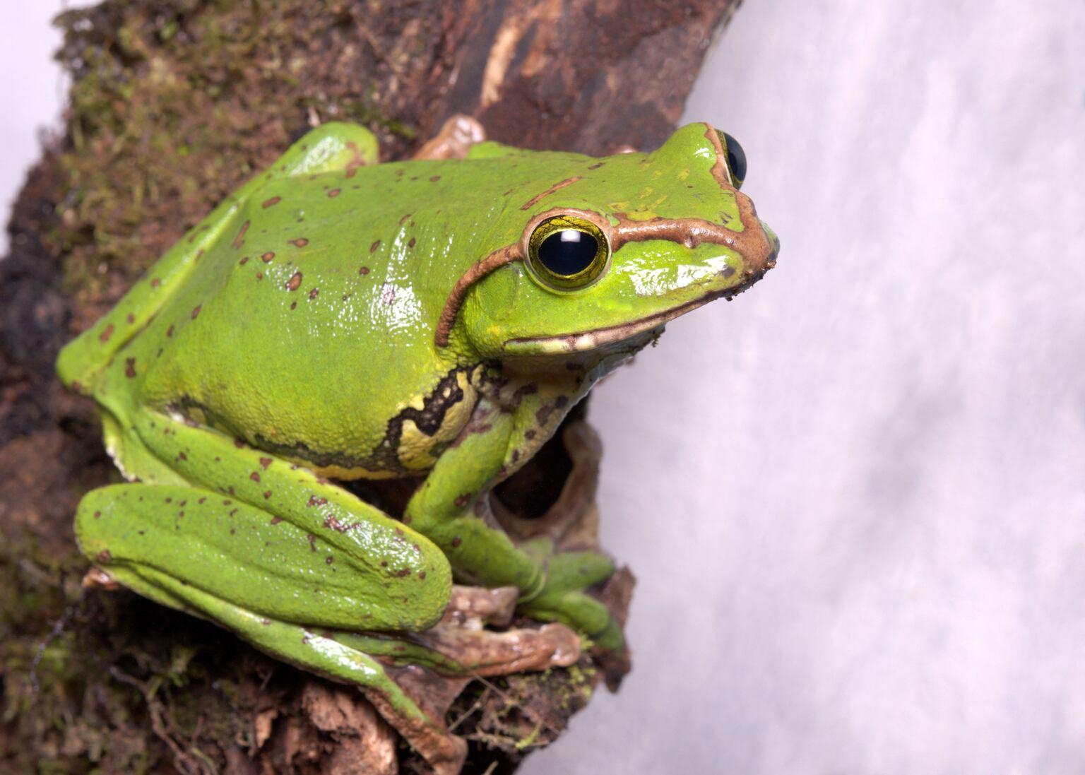 Hidden Gems: Underrated Travel Destinations Around the World