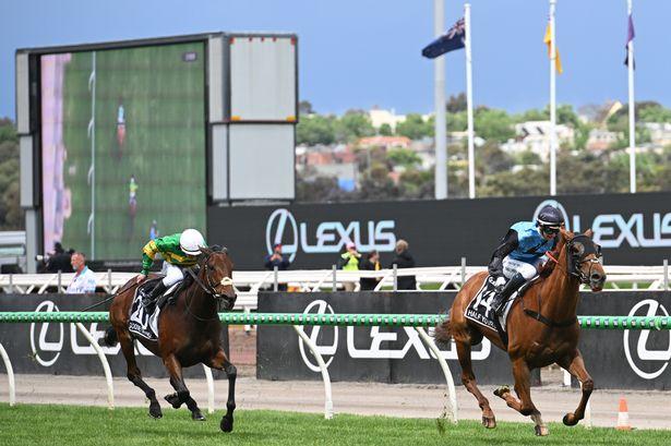 Half Yours wins Melbourne Cup; McManus runner second