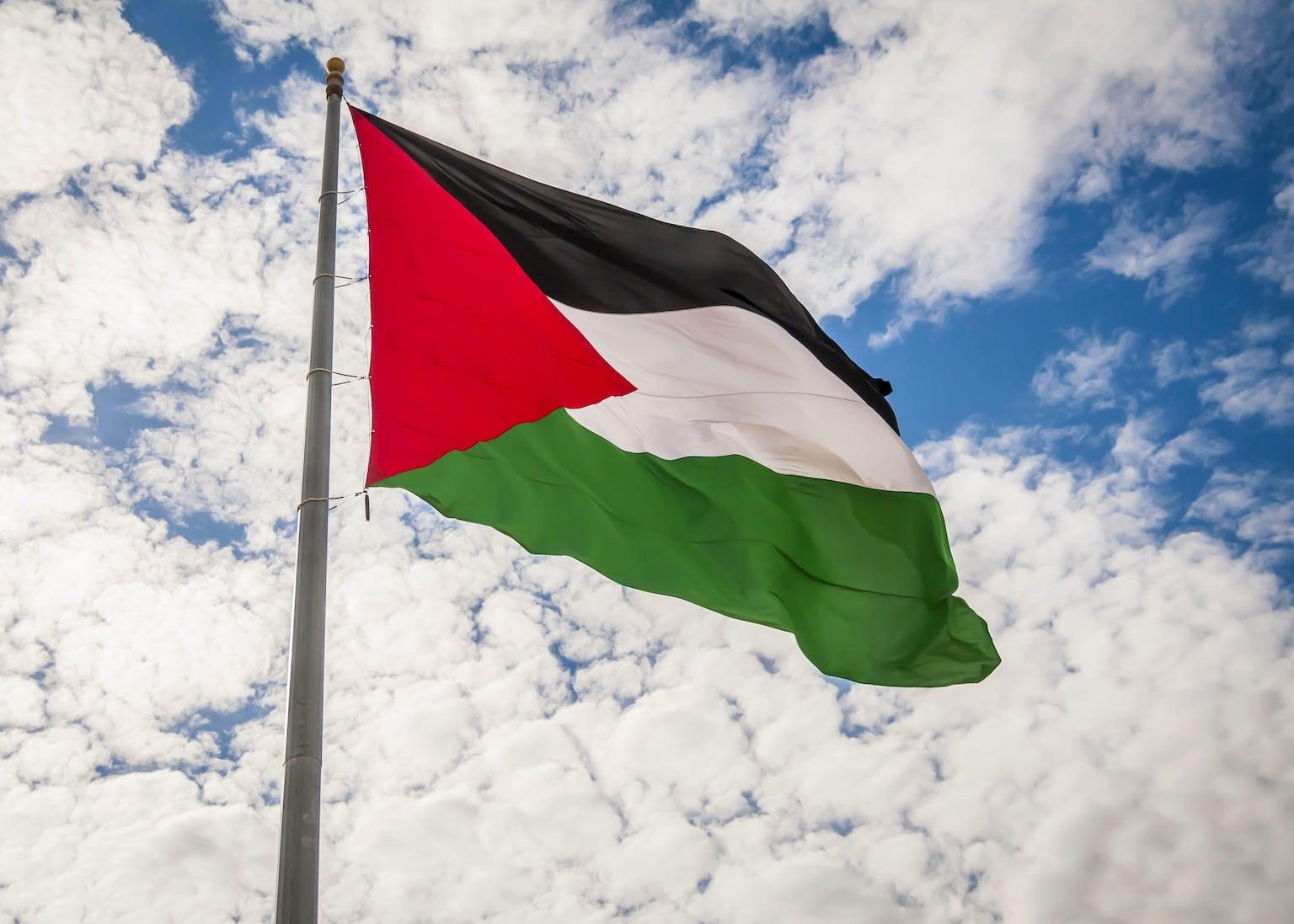 Belfast to fly Palestinian flag at City Hall