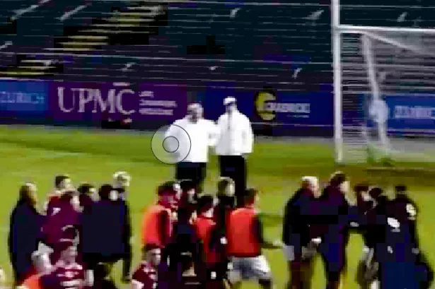 Investigations after brawl at Wexford football final