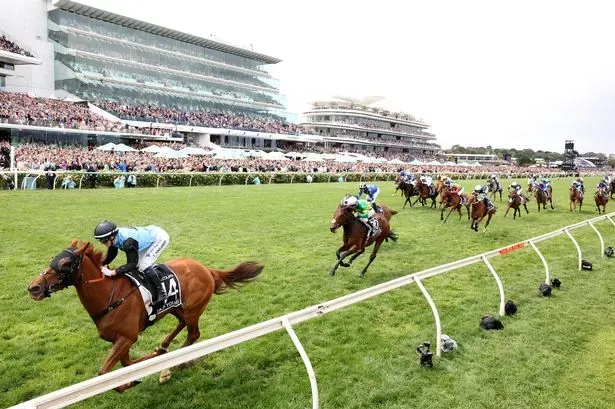 Massive Melbourne Cup bet fails as Al Riffa seventh