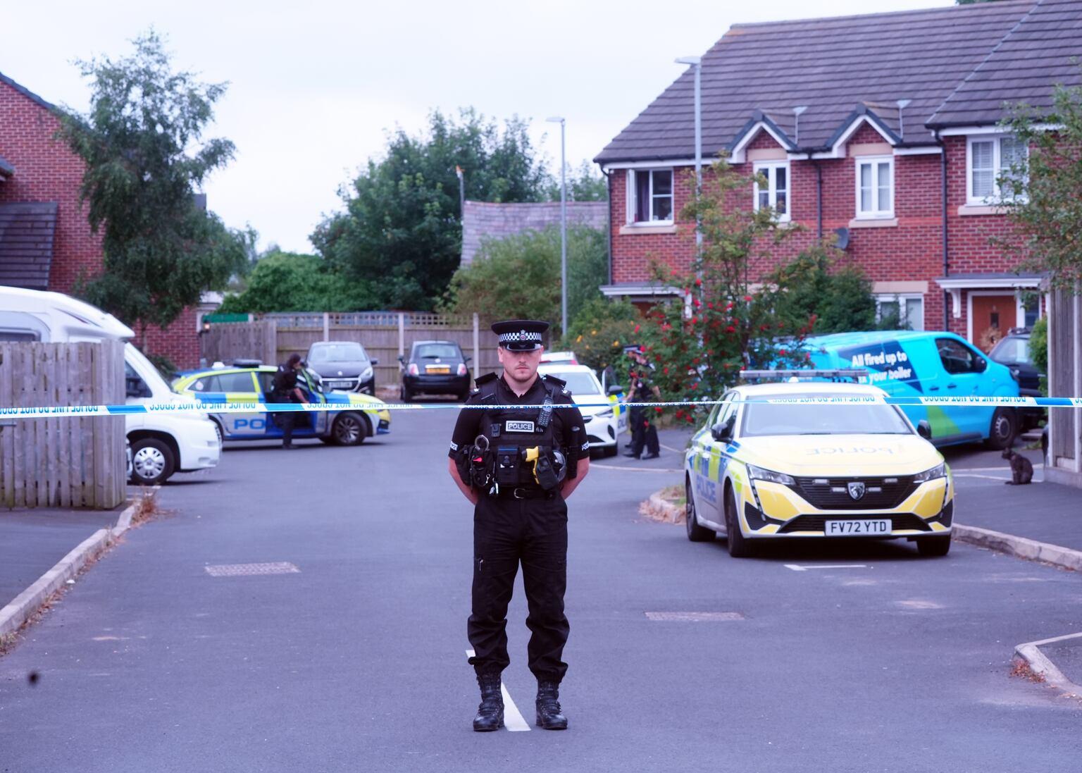 Brother warned of risk before Southport stabbings, inquiry hears